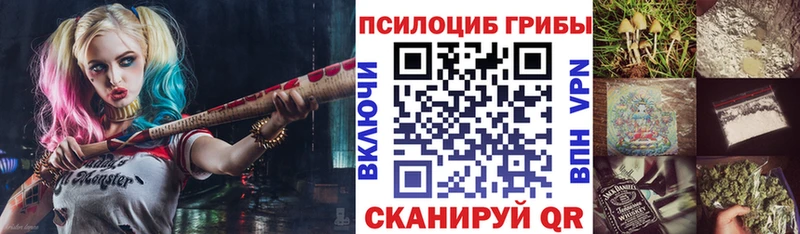 Галлюциногенные грибы Psilocybine cubensis  Тында 